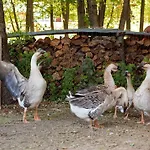 Ziolowa Dolina