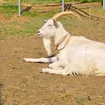Ziolowa Dolina 3*