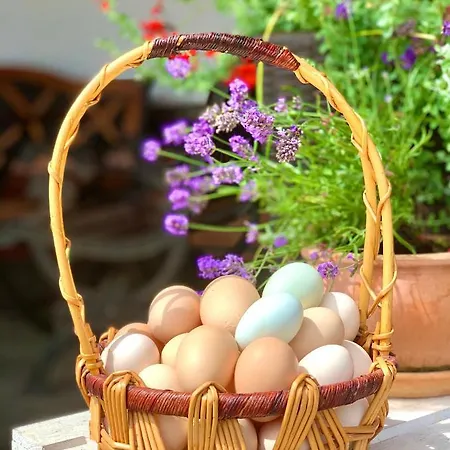 Bed & Breakfast Ziolowa Dolina 3*