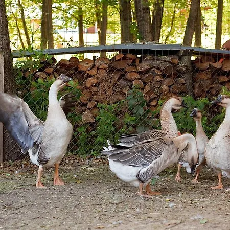 Ziolowa Dolina