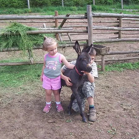 Ziolowa Dolina 3* Olsztyn (Warmian-Masurian)