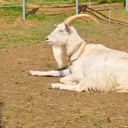 Ziolowa Dolina 3*