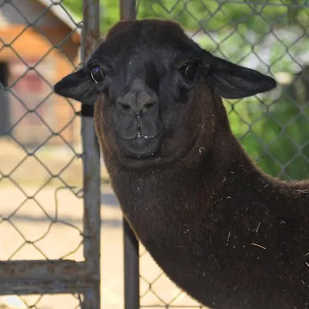 Ziolowa Dolina Olsztyn (Warmian-Masurian)