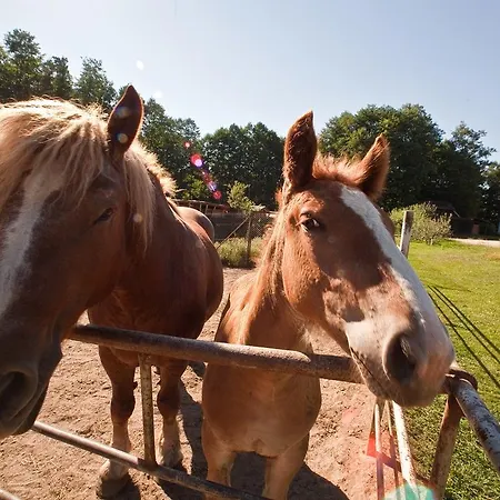 Bed & Breakfast Ziolowa Dolina