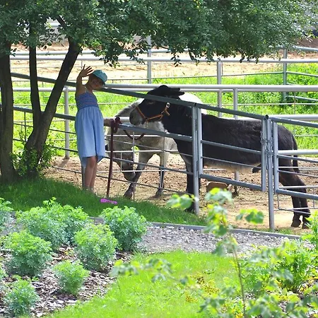 Bed & Breakfast Ziolowa Dolina