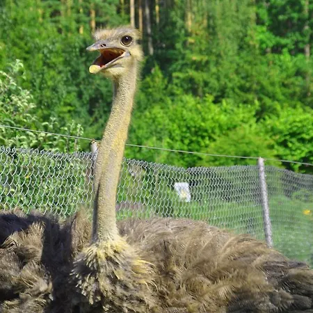 Ziolowa Dolina Bed & Breakfast Olsztyn (Warmian-Masurian)