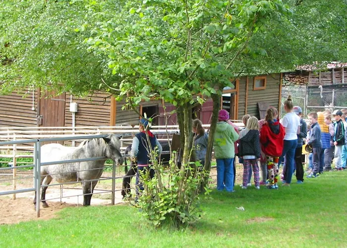 Ziolowa Dolina 3* Olsztyn (Warmian-Masurian)