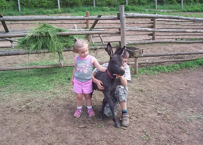 Ziolowa Dolina 3* Olsztyn (Warmian-Masurian)