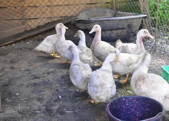 Ziolowa Dolina Olsztyn (Warmian-Masurian)